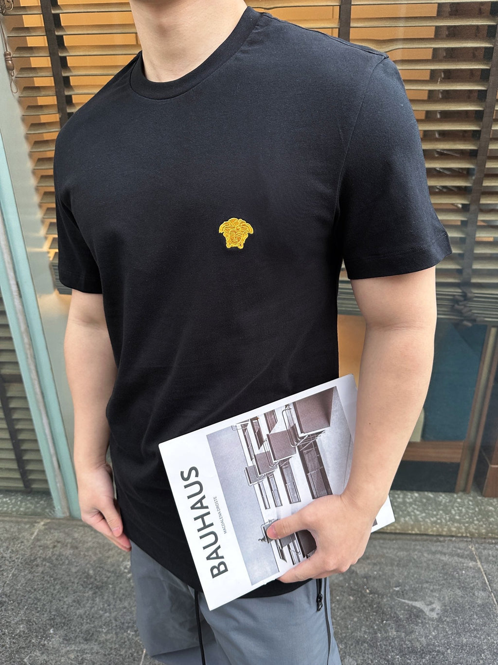 2026 New Ve Short-Sleeved Shirt with Gold Logo Embroidery (25166-A05)