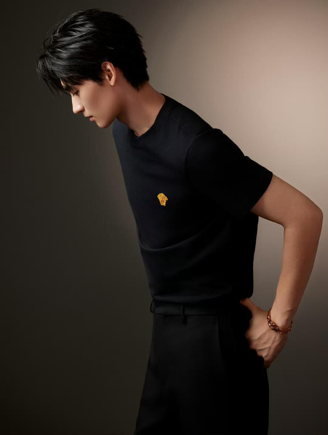 2026 New Ve Short-Sleeved Shirt with Gold Logo Embroidery (25166-A05)