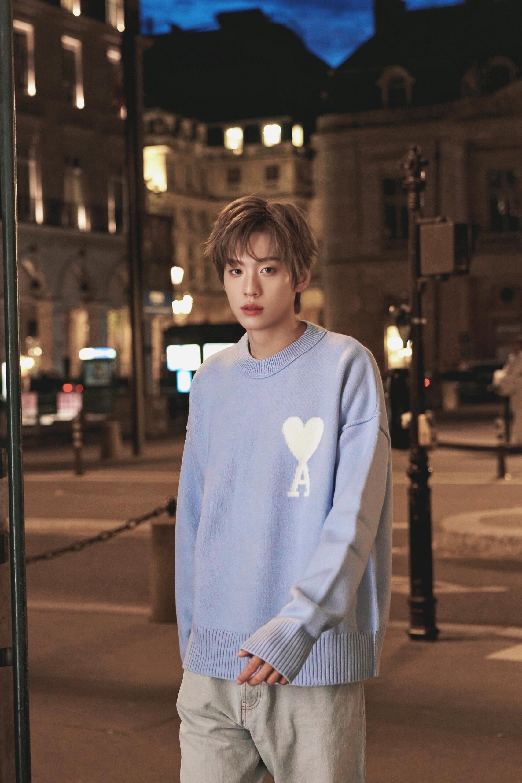 2026 New Model Heart A Heart Patterned Round-neck Sweater (25374-B15)