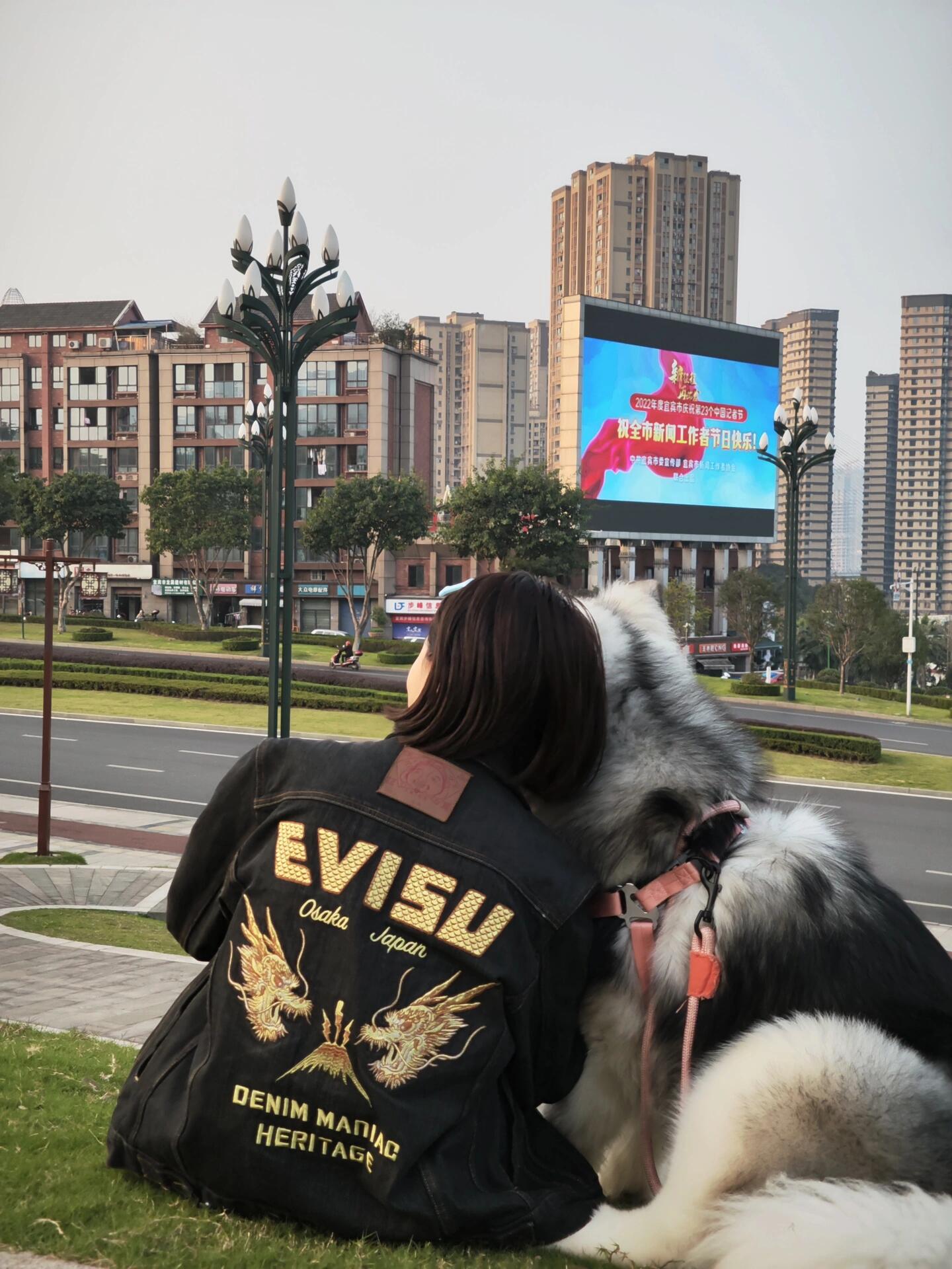 2026 New Arrival Ev Golden Dragon Embroidered Denim Jacket (25398-B85)