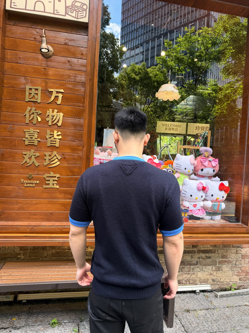 2026 New Triangle Brand Short-Sleeved Sweater with Triangle Logo (AA569-A50)