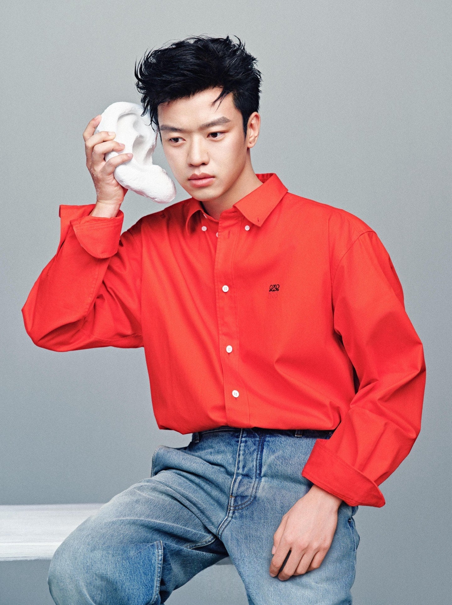 2026 New Style Way Two-Color Embroidered Shirt (BB900-B10)