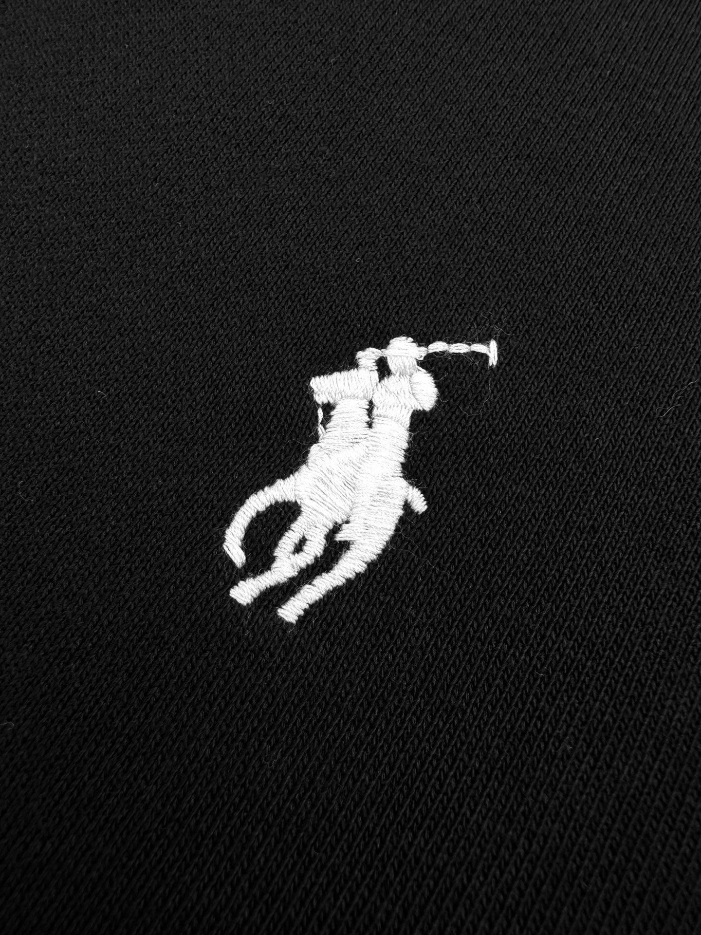 2026 New RL Logo Embroidered Hoodie (25296-A65)