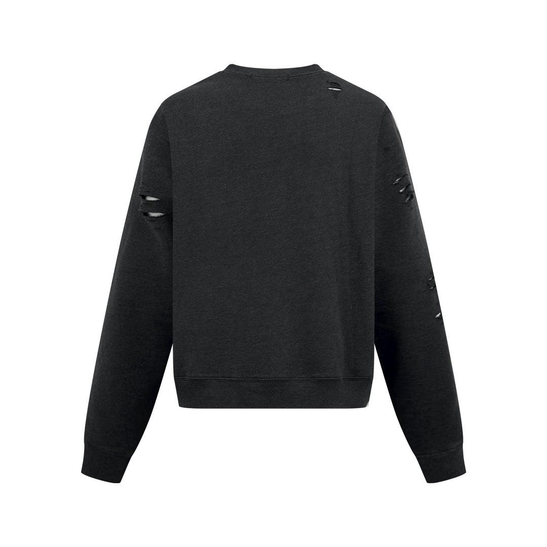 2026 New Acn Distressed Logo Sweatshirt with Holes (25310-B20)
