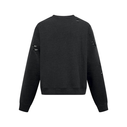2026 New Acn Distressed Logo Sweatshirt with Holes (25310-B20)