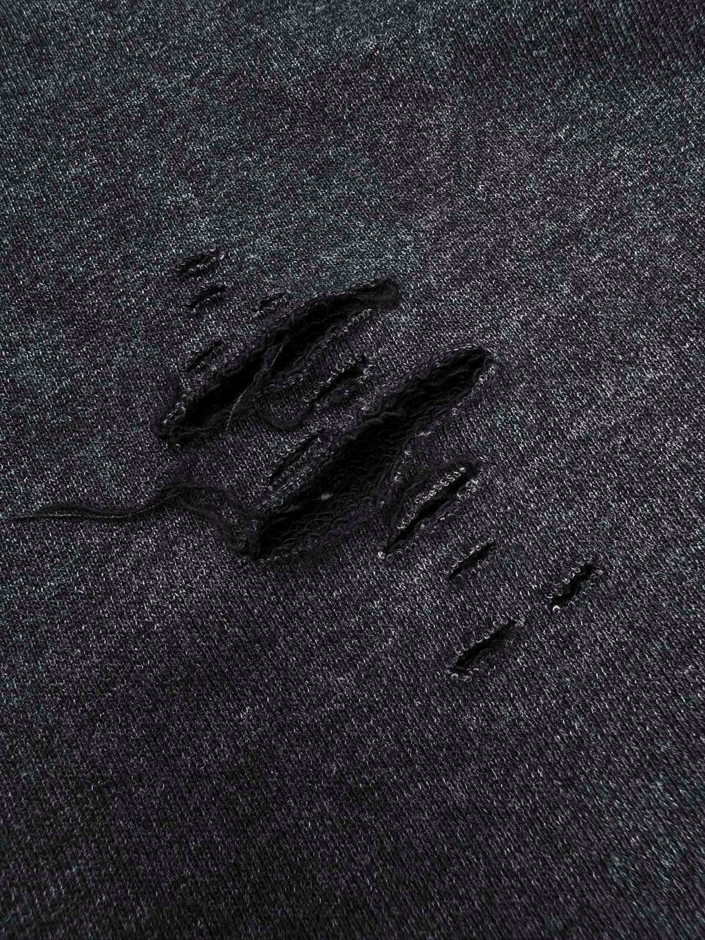 2026 New Acn Distressed Logo Sweatshirt with Holes (25310-B20)