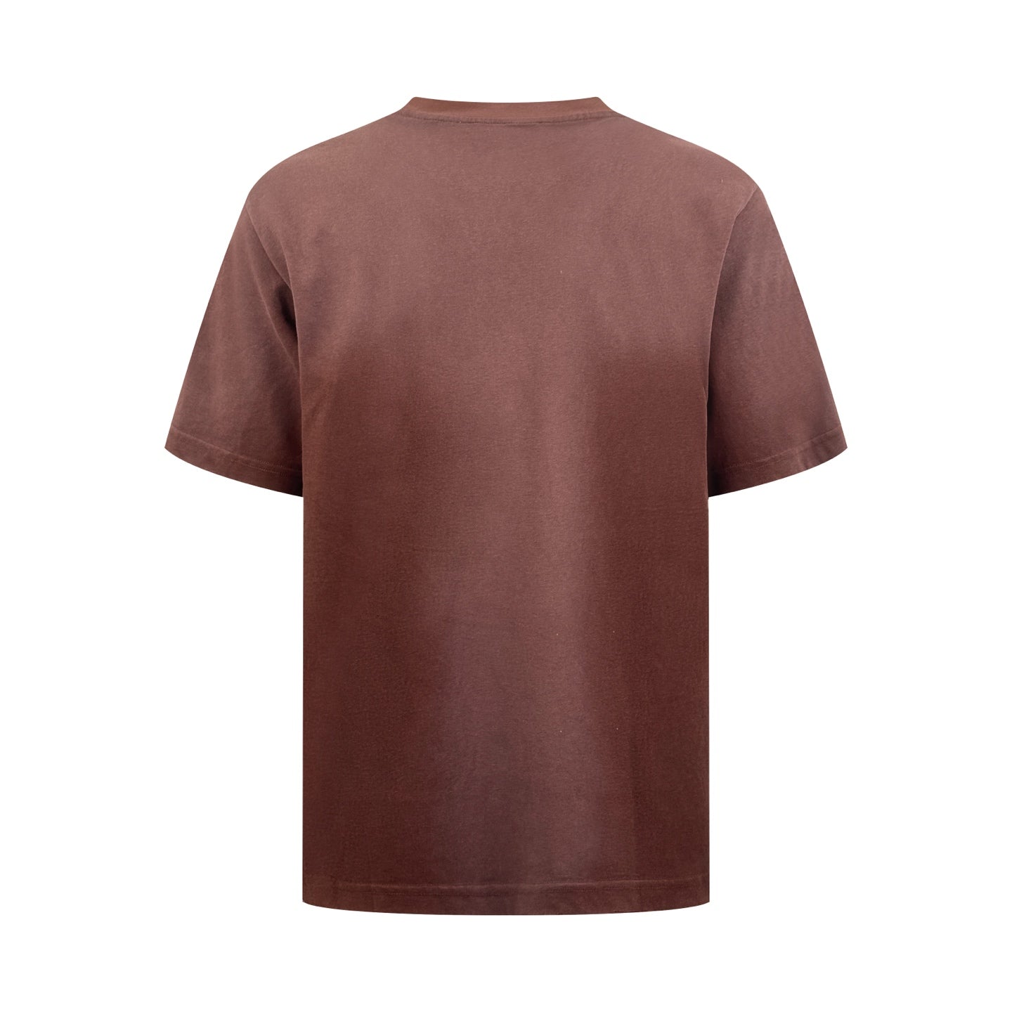 2026 New Acn Short-Sleeved T-Shirt with Distressed Printed Logo (CC953-A15)