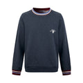 2026 new model Triangle Brand logo striped hoodie (CC7001-B05)